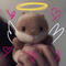 Happy Hampster- was beloved by all :( sadly passed away after shadow got to him... RIP